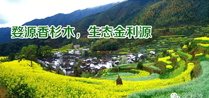 金利源板材/金品質 源生態(tài).從源頭精挑細選，為品質保駕護航——中國板材十大品牌品質篇